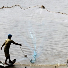 Khát cá trên dòng Mekong